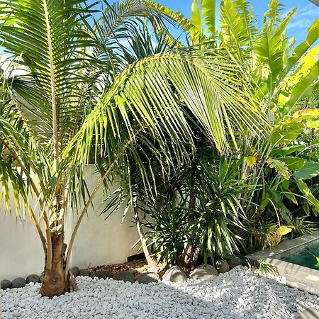 Villa Le Yucca 974 By J&V Saint Pierre Esterno foto