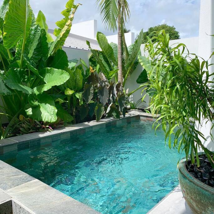 Villa Le Yucca 974 By J&V Saint Pierre Esterno foto