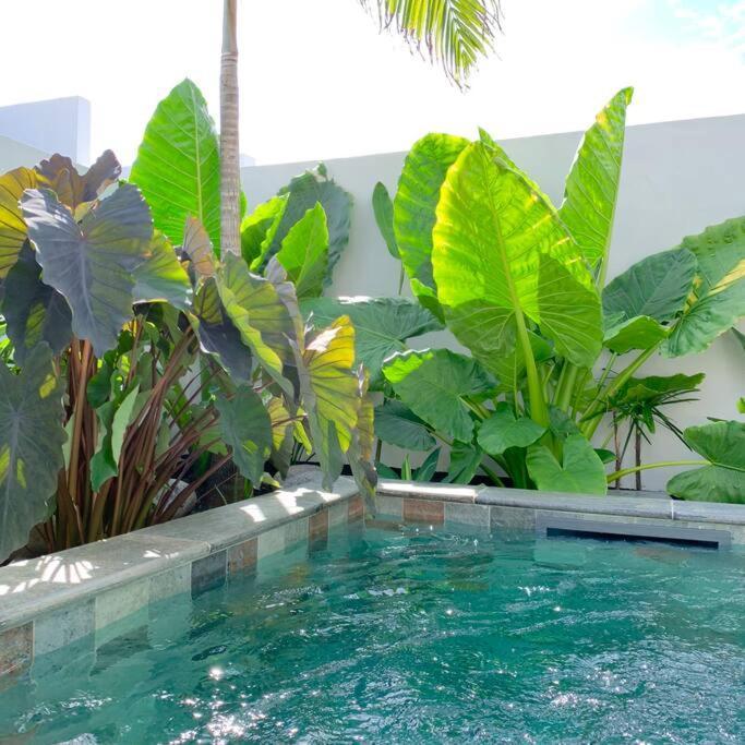 Villa Le Yucca 974 By J&V Saint Pierre Esterno foto