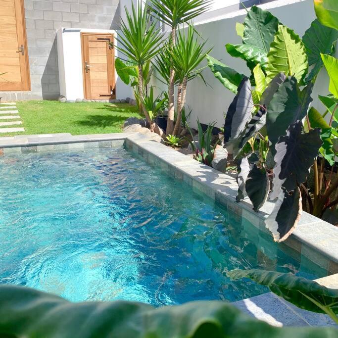 Villa Le Yucca 974 By J&V Saint Pierre Esterno foto