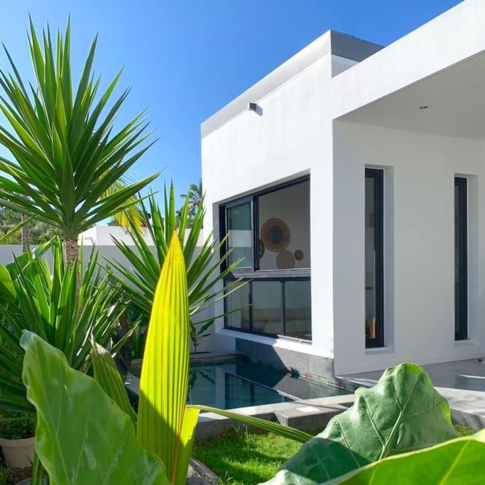 Villa Le Yucca 974 By J&V Saint Pierre Esterno foto