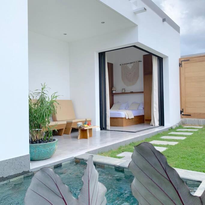 Villa Le Yucca 974 By J&V Saint Pierre Esterno foto