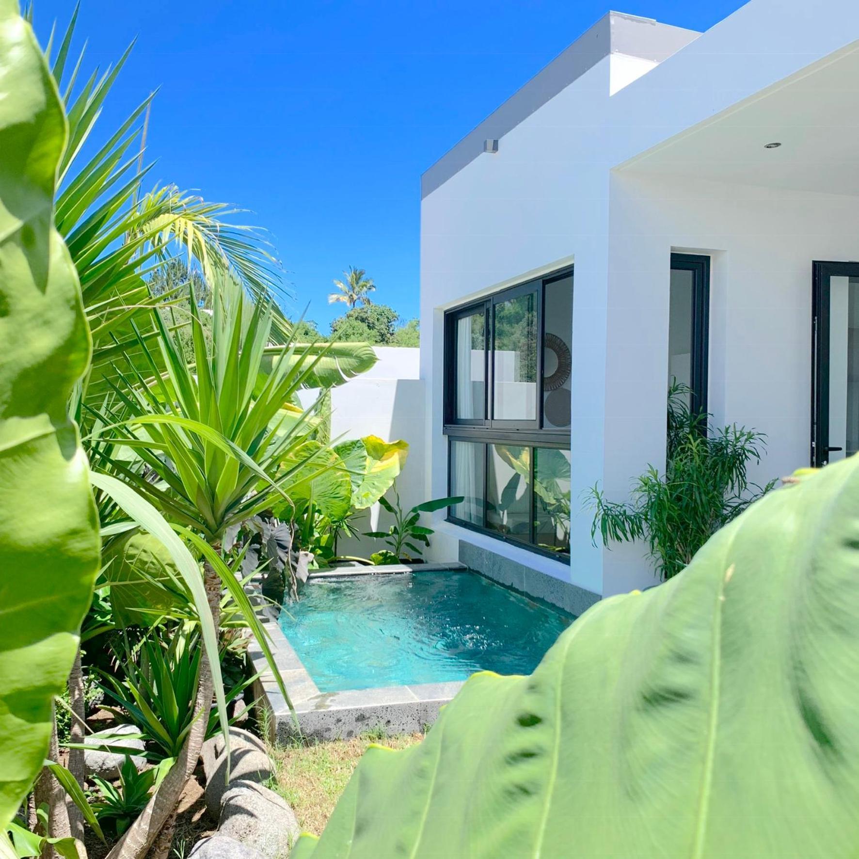 Villa Le Yucca 974 By J&V Saint Pierre Esterno foto