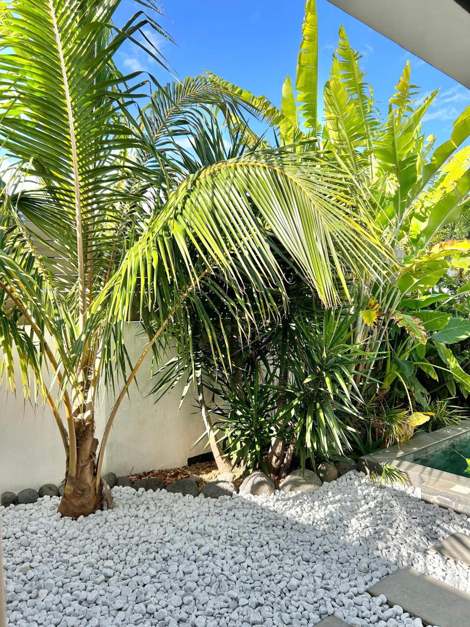 Villa Le Yucca 974 By J&V Saint Pierre Esterno foto