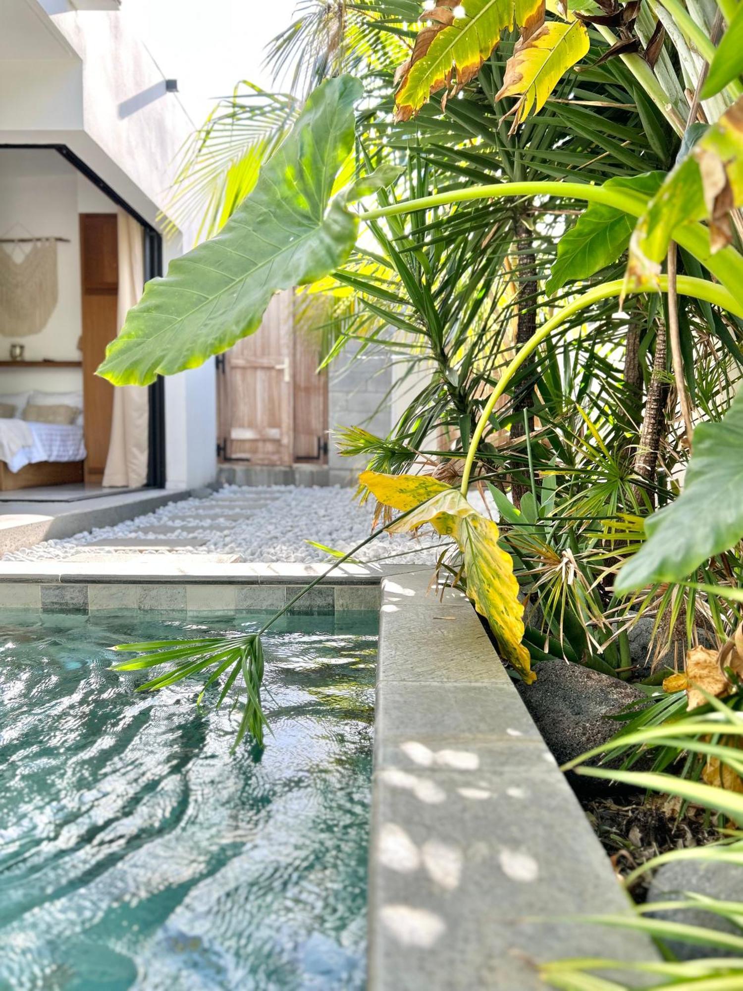 Villa Le Yucca 974 By J&V Saint Pierre Esterno foto
